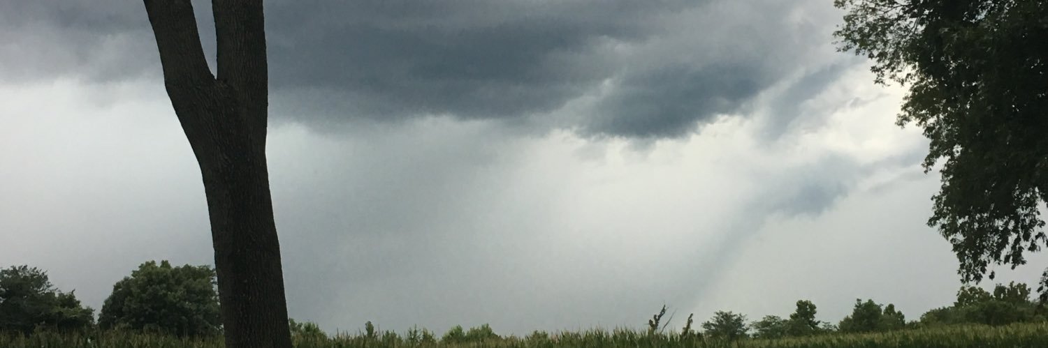 WmNoellePatton's profile banner image