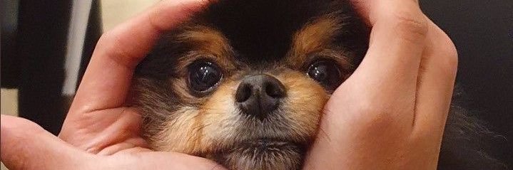 boravk's profile banner image