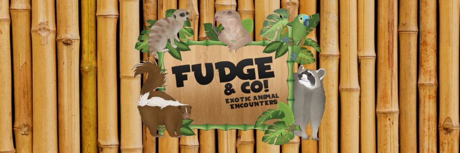 fudgeandco's profile banner image