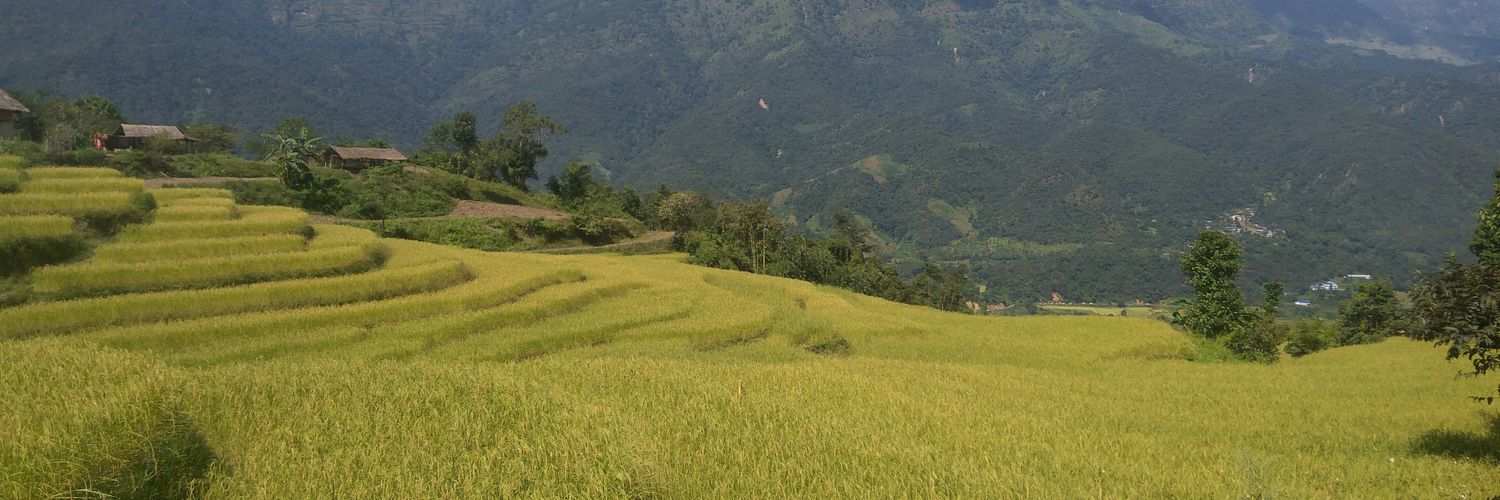 Konsamr's profile banner image