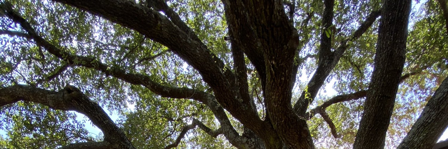 MasonHuntt's profile banner image