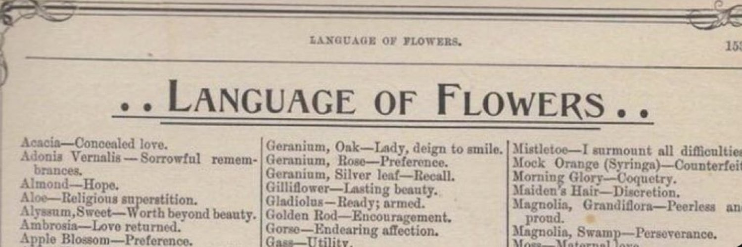 NOUF 🇰🇼 banner