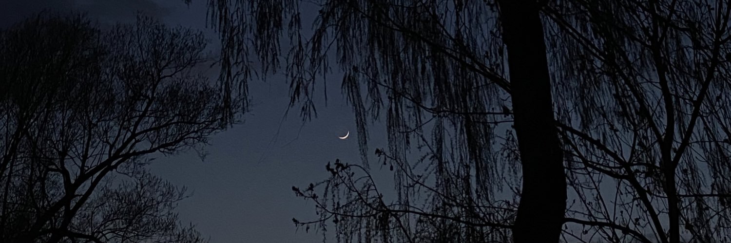 jesseweree's profile banner image