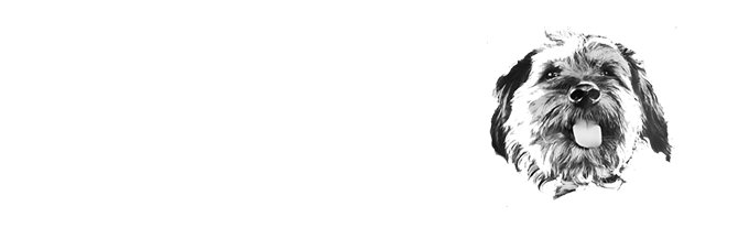 yasingenceer's profile banner image