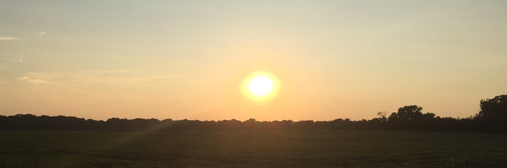 MrKlapsogeorge's profile banner image