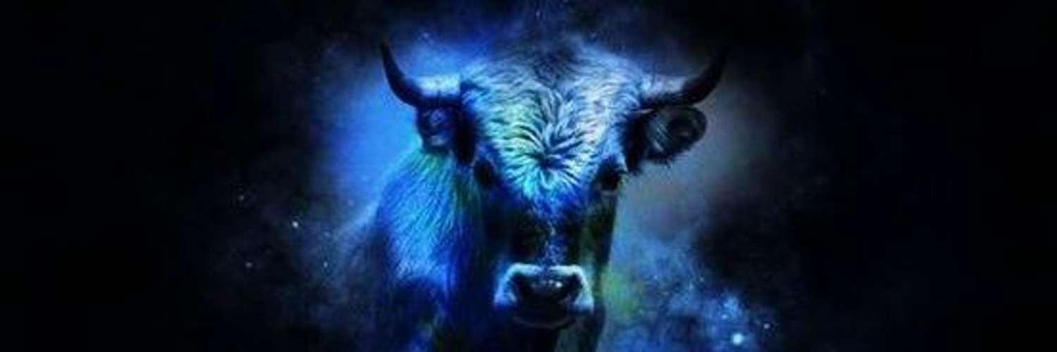Gerardus_Merc's profile banner image