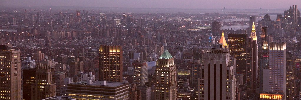 Shaun Crampton banner