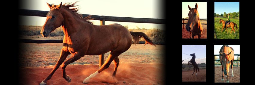 carlasmit87's profile banner image