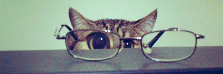 Perdona_mona's profile banner image