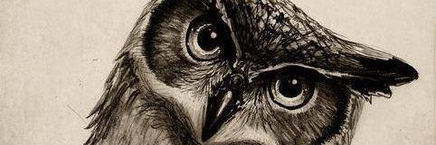 melamny_marquez's profile banner image
