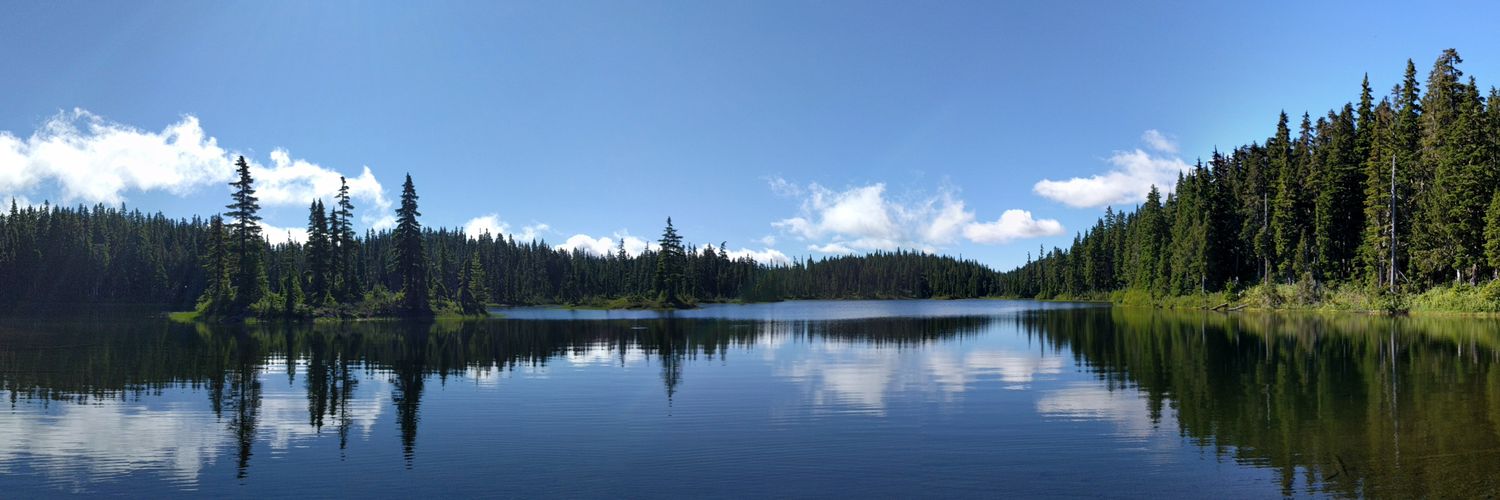 Dr. Alysa Orbits (Obertas) banner