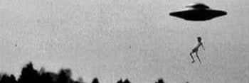 Bolitadebicho's profile banner image