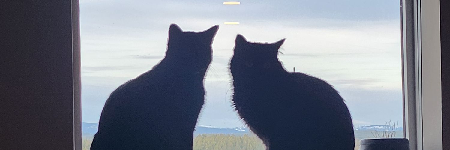 pay_den's profile banner image