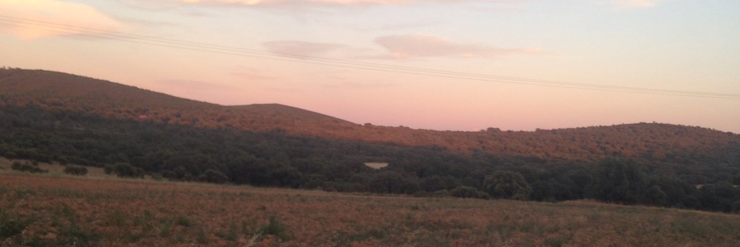 Jimijestik's profile banner image