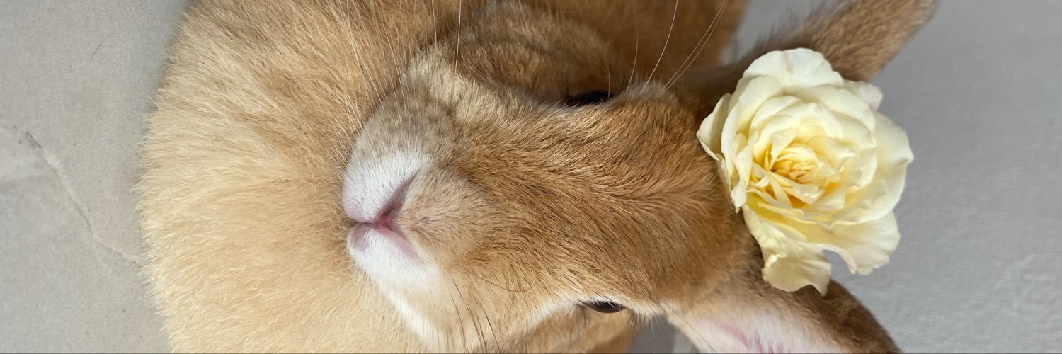 GEORCELAYES's profile banner image