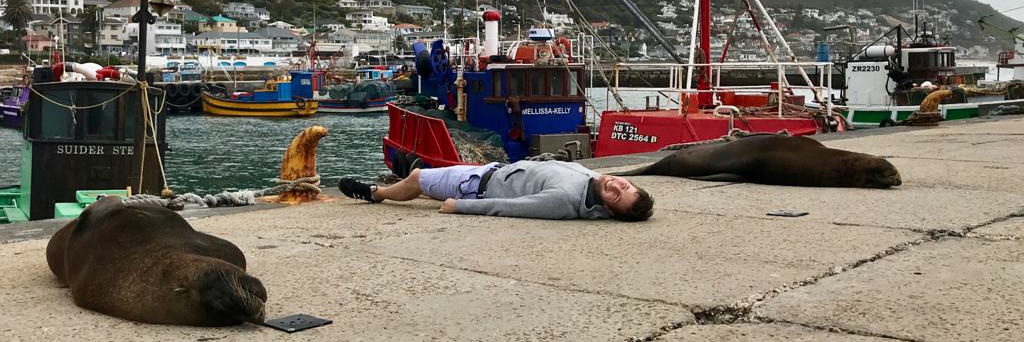 Leif Battermann 🇺🇦🏳️‍🌈💚☮️🌱 banner