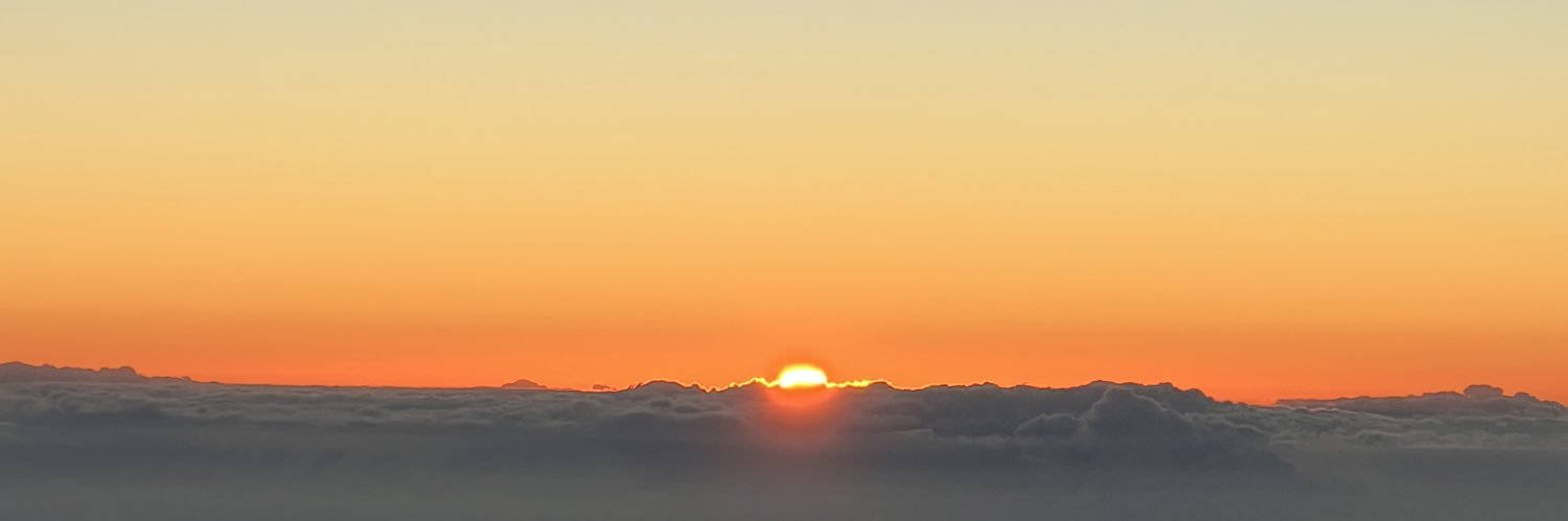DeterminedMaria's profile banner image