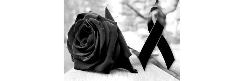 david_blasi's profile banner image