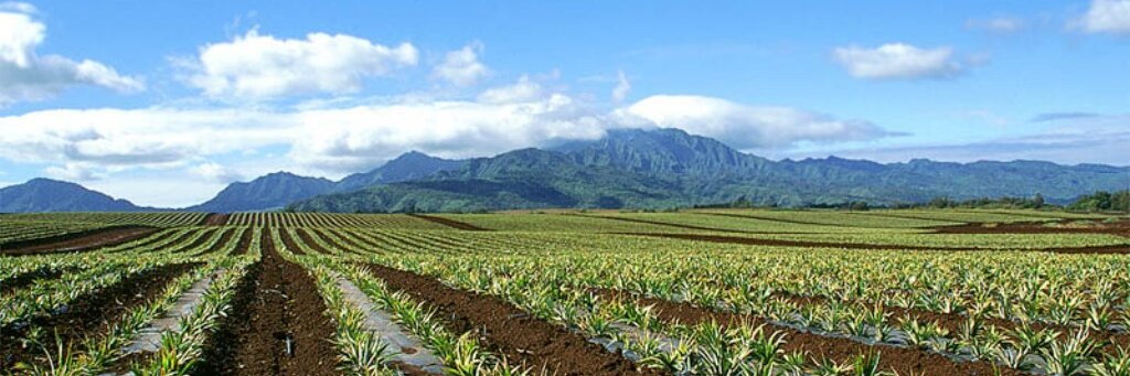 IntiBolivar's profile banner image