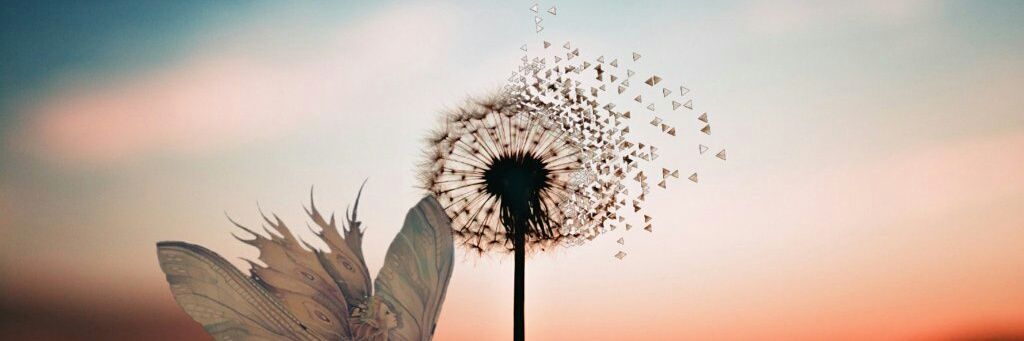 memory5634's profile banner image
