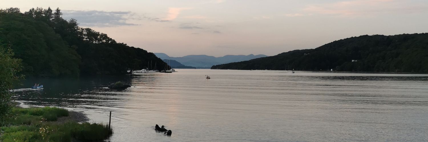 michael donnelly banner