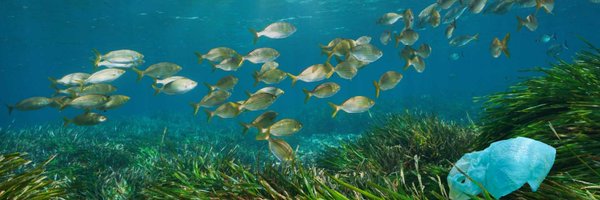 BeMed_org Profile Banner