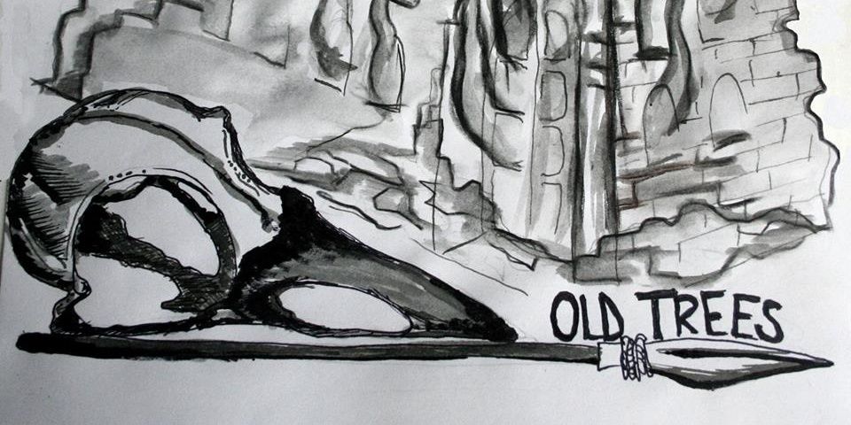 oldtrees_'s profile banner image