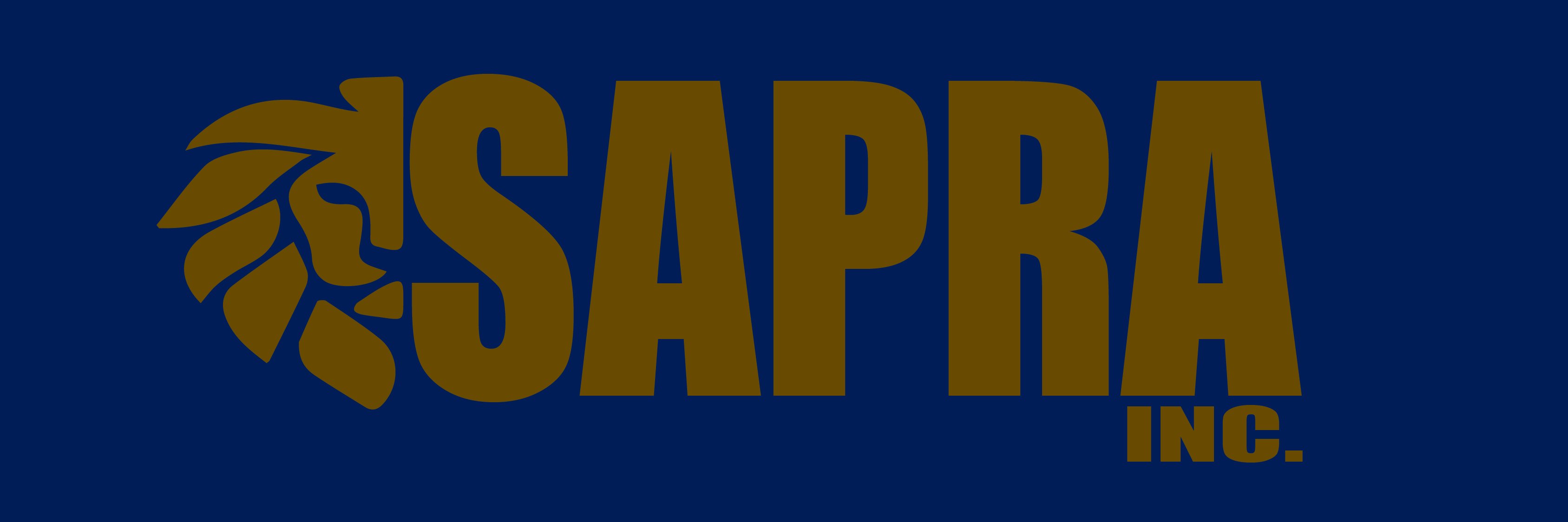 SAPRAINC1's profile banner image