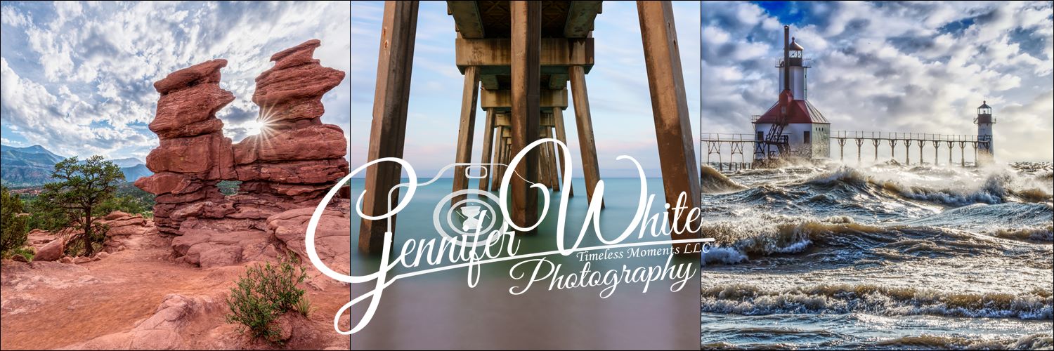 Jennifer White Timeless Moments Photography, LLC's banner