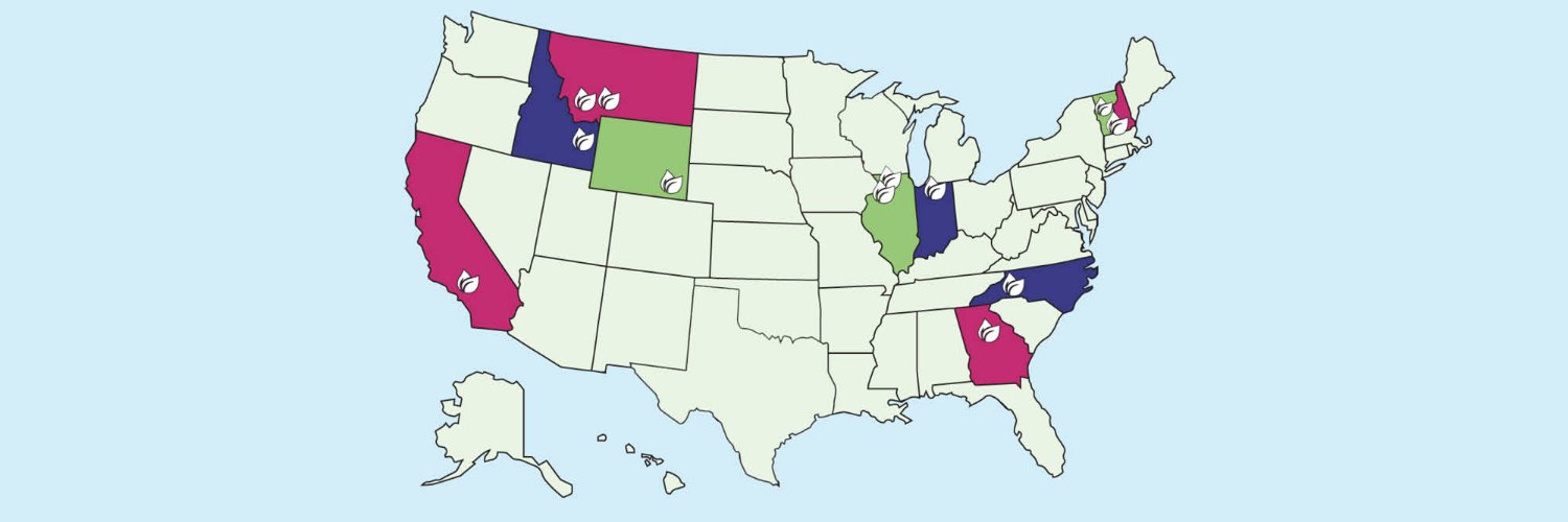 The Local Crowd banner