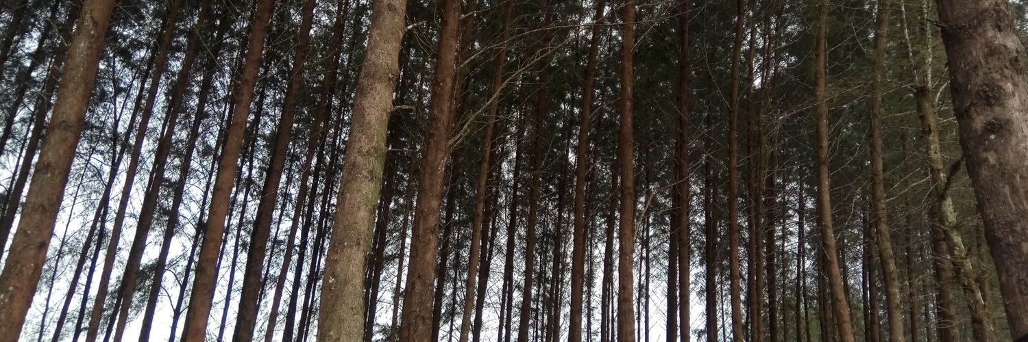 Namnotfound's profile banner image