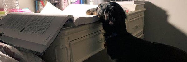 yessimolina6 Profile Banner