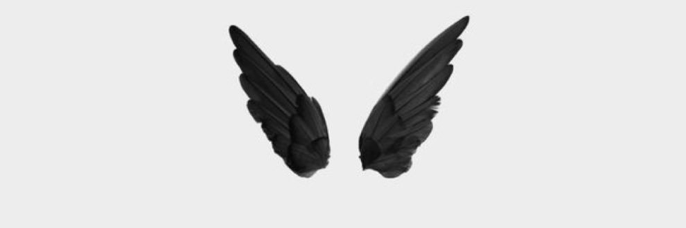 NinaStommel155's profile banner image