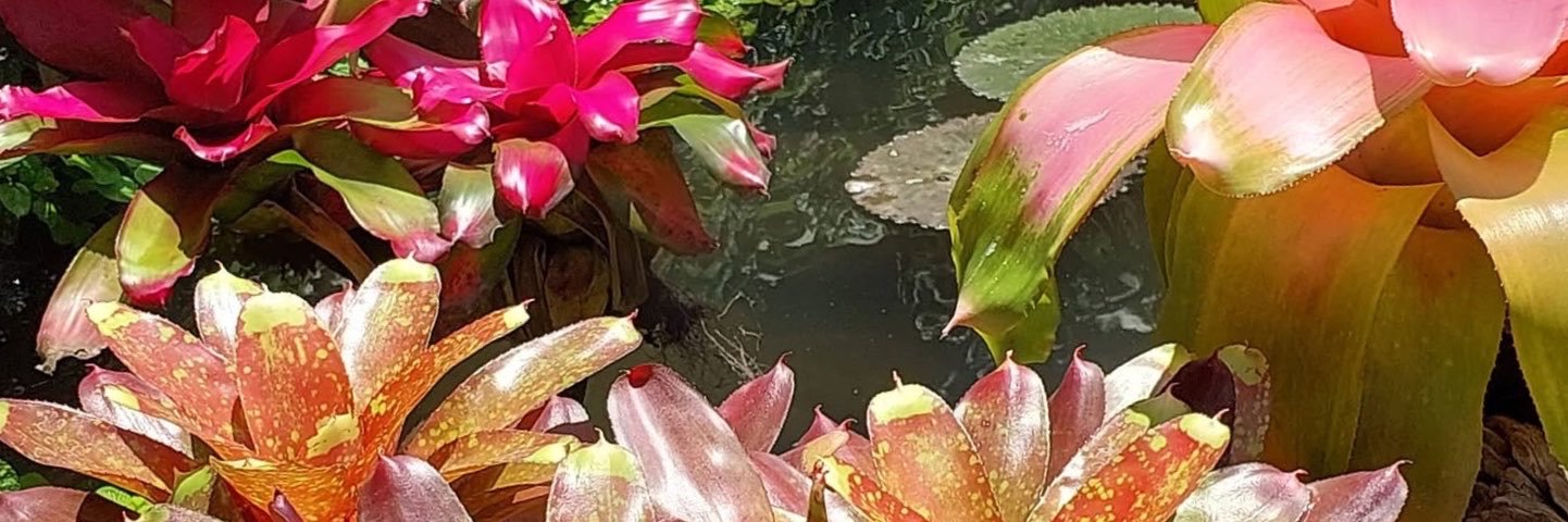 GeeLedesma's profile banner image