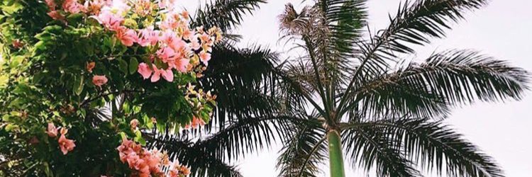 livgriff's profile banner image