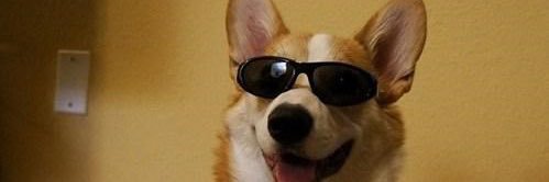 lininpope's profile banner image