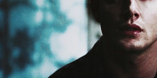 RecalcitrantAss's profile banner image