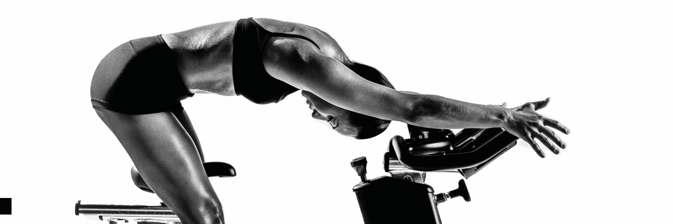 TheSweatShoppe's profile banner image