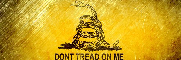 mvd6919 Profile Banner