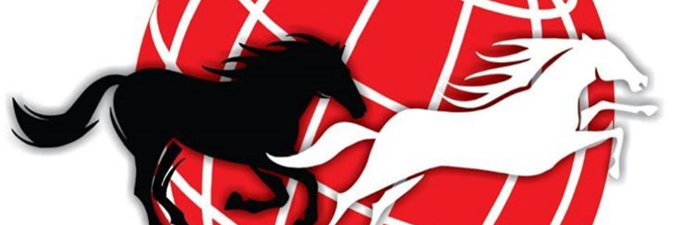 largemichaels's profile banner image