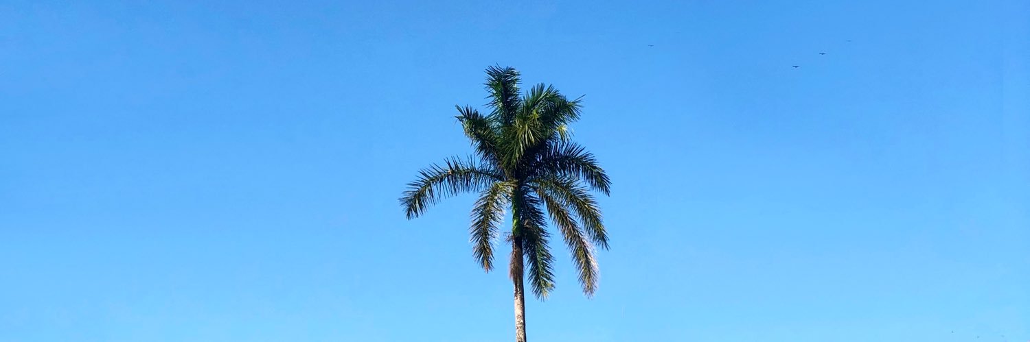 RAULO banner