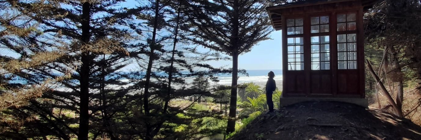 P Rojas 👍🇨🇱 banner