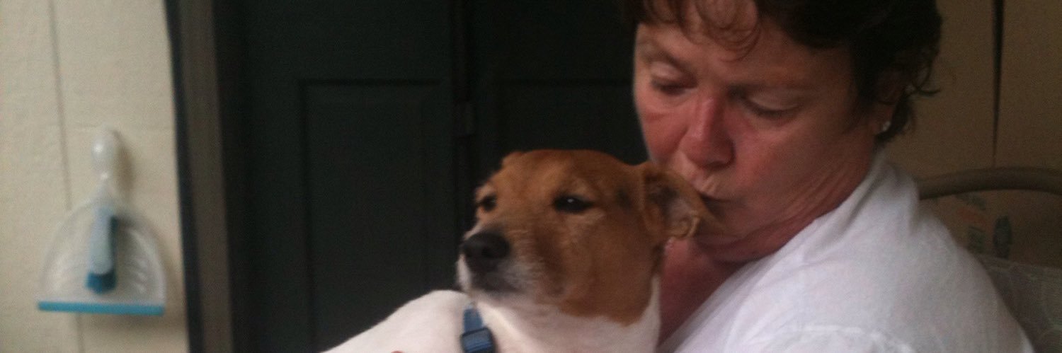 SeMoorewalsh's profile banner image