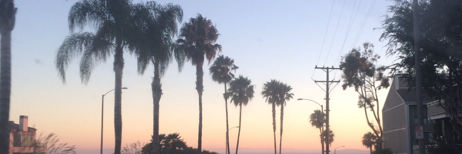 sydneylahners's profile banner image