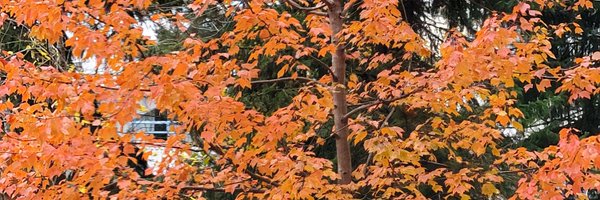 jlans10 Profile Banner