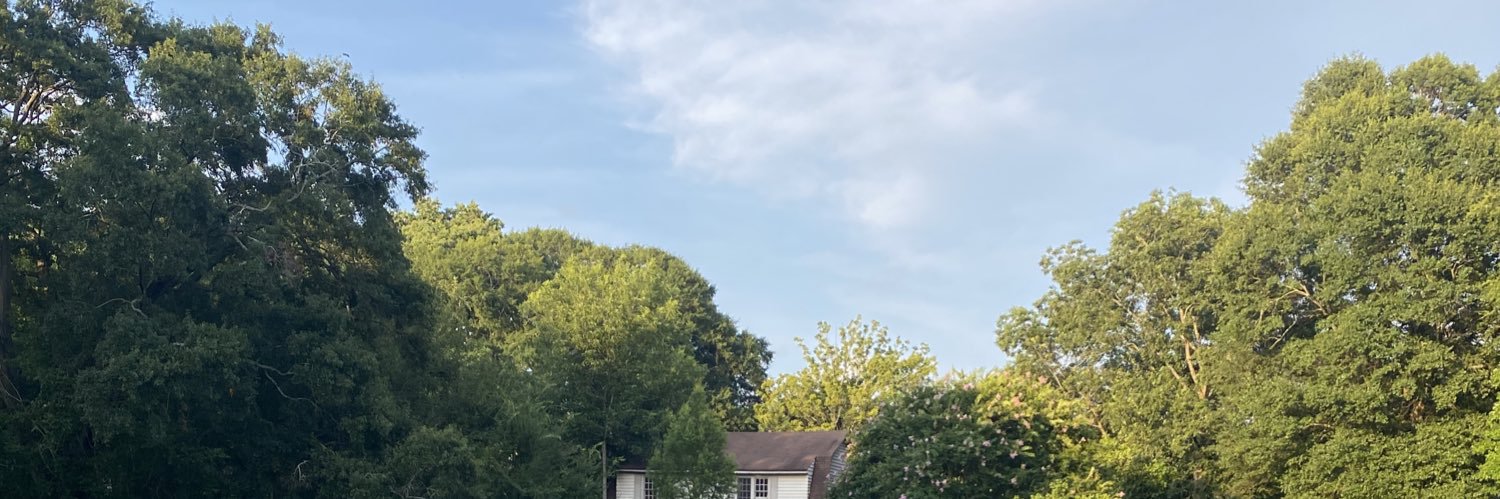 tatorthott's profile banner image