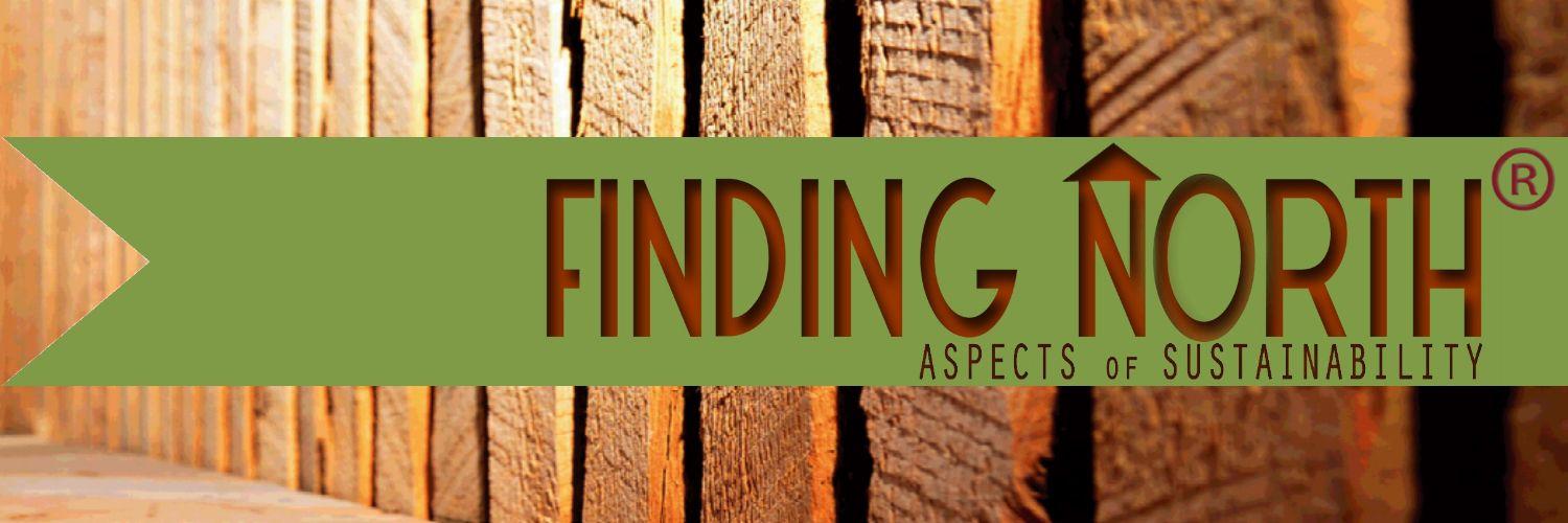 findingnorth1's profile banner image