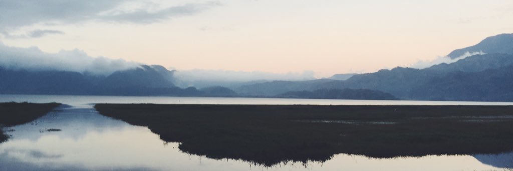 _nuthalia's profile banner image