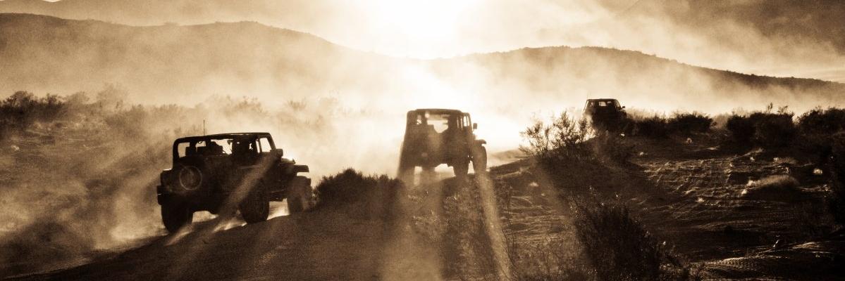 p_baraldi's profile banner image