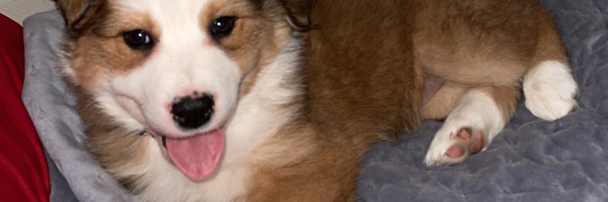 CalebLanclos's profile banner image